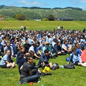 Programme scolaire - Anglais - Nouvelle-Zélande - Kapiti College